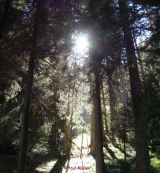 Impressionen0003